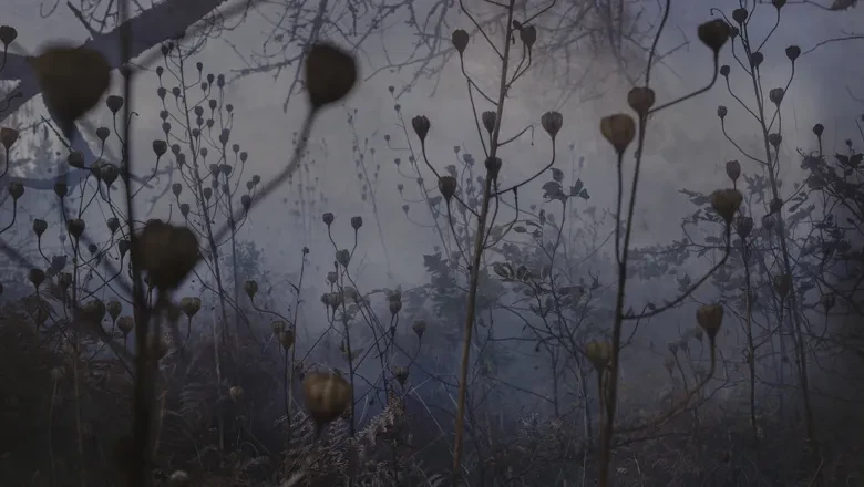 Illustration med växter mot går bakgrund